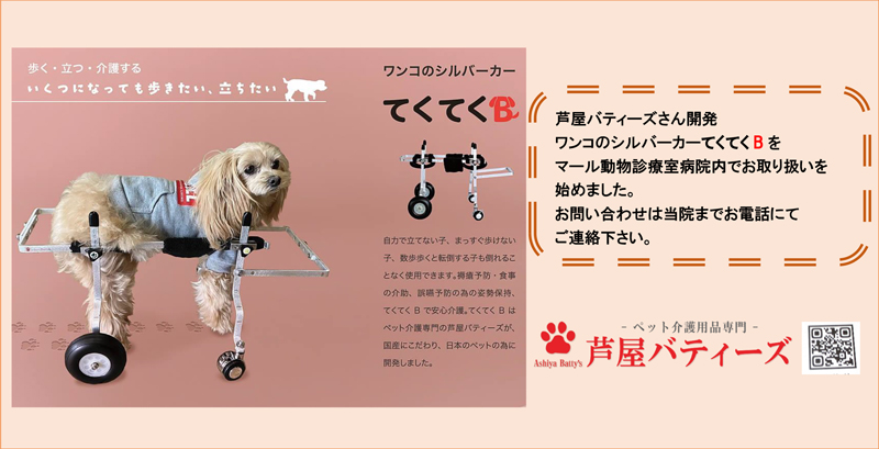 てくてくB