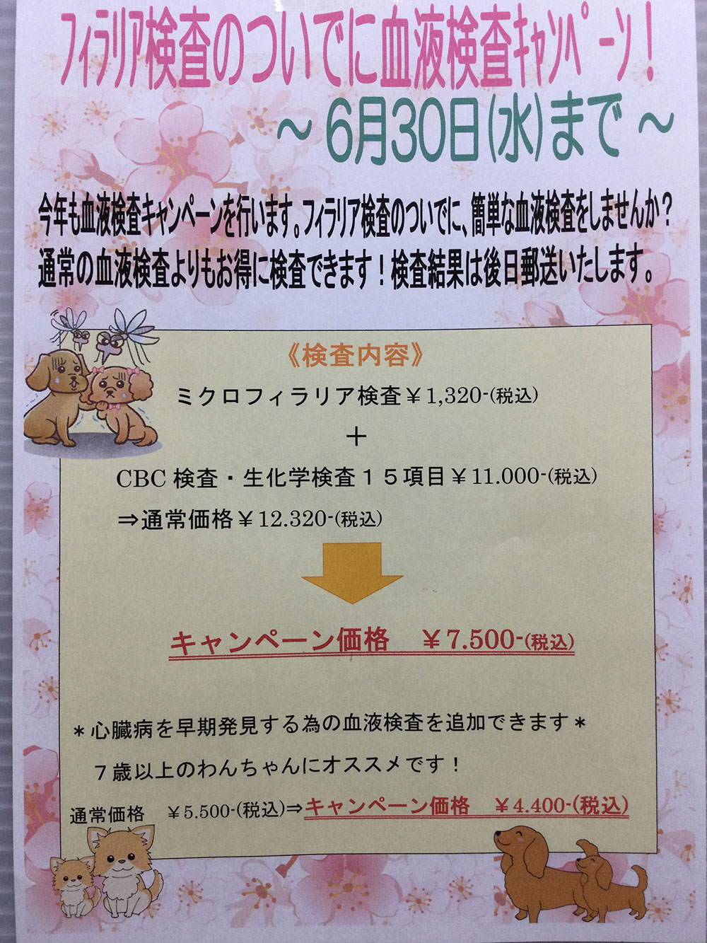 兵庫県芦屋市のマール動物診療室
